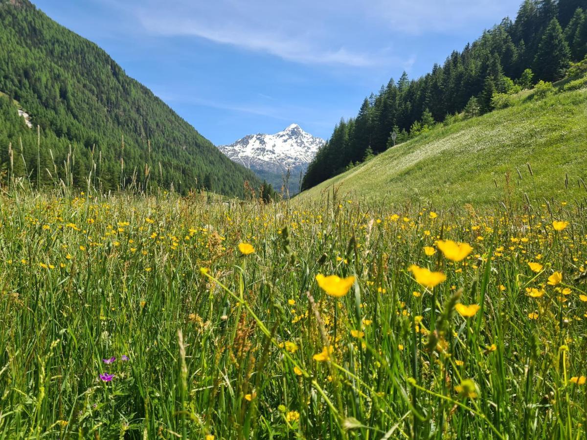 Appartement Skorpion Sölden Exteriör bild
